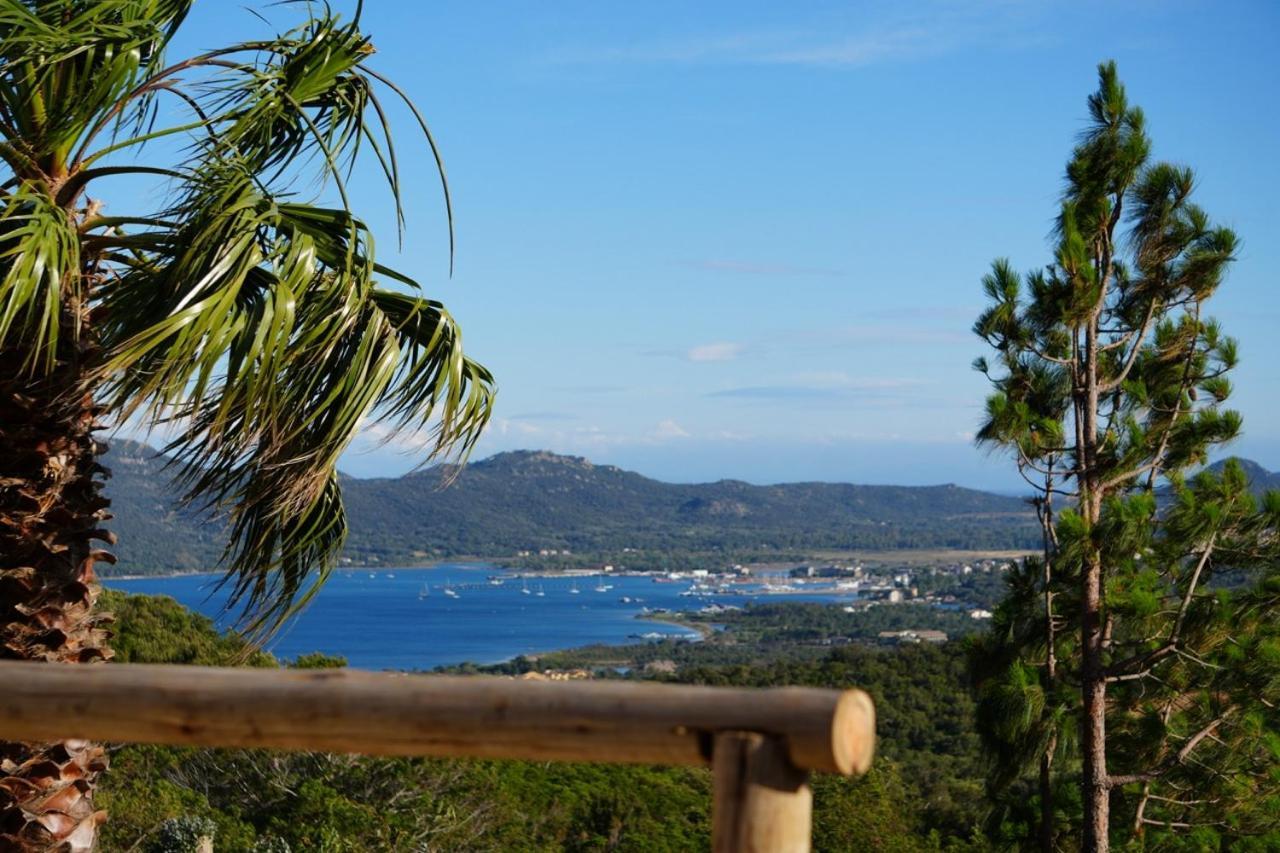 L'arbousiere Porto-Vecchio (Corsica)