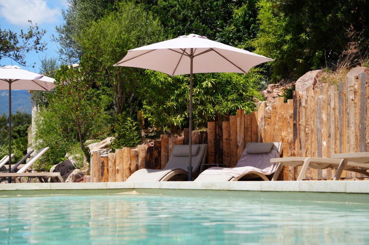 L'arbousiere Porto-Vecchio (Corsica)